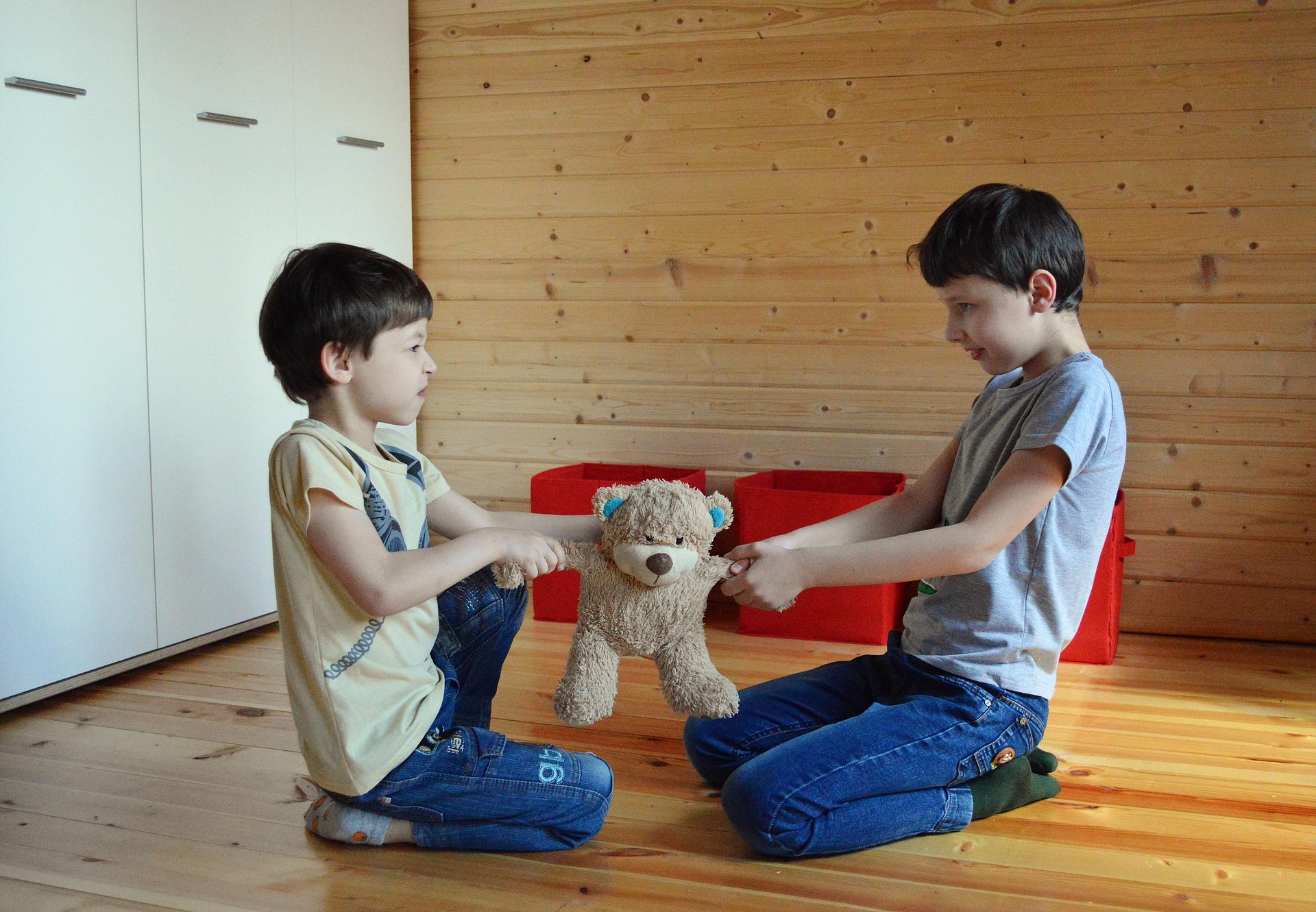 Kinder streiten um Teddy Kinder streiten um Teddy